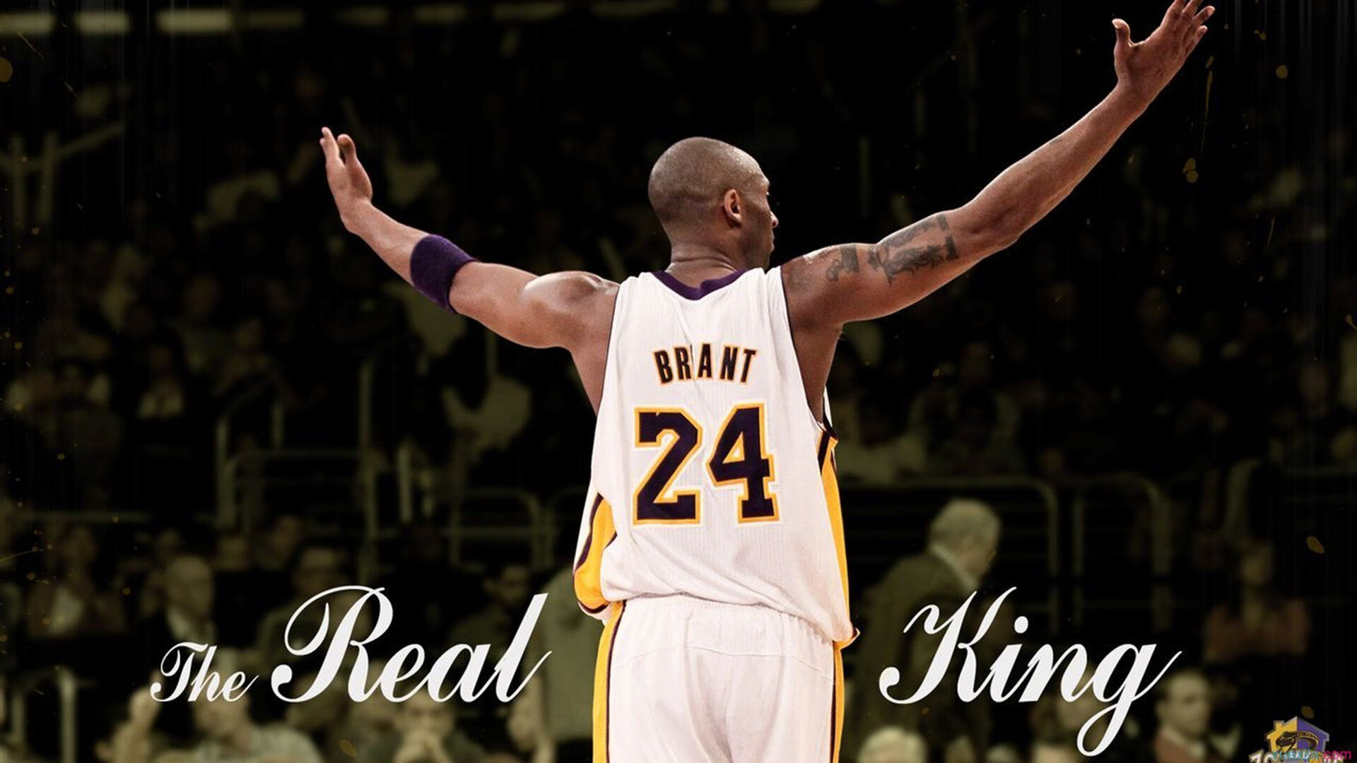 体育传奇再度诞生