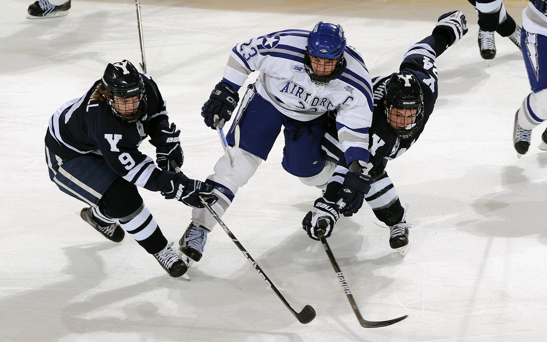 青少年体育教育市场持续增长